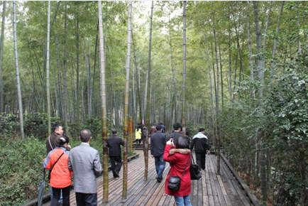 司能經(jīng)銷(xiāo)商•供應(yīng)商游覽南山竹海